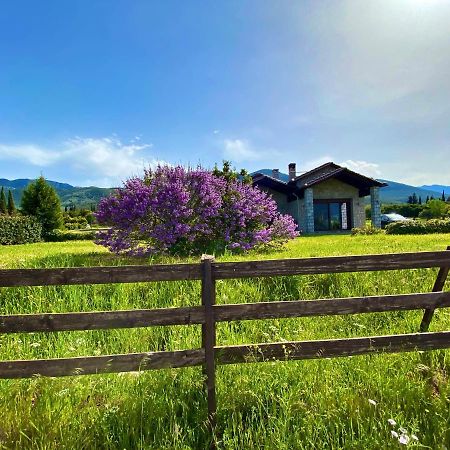 Lithos Villas Amfiklia Bagian luar foto